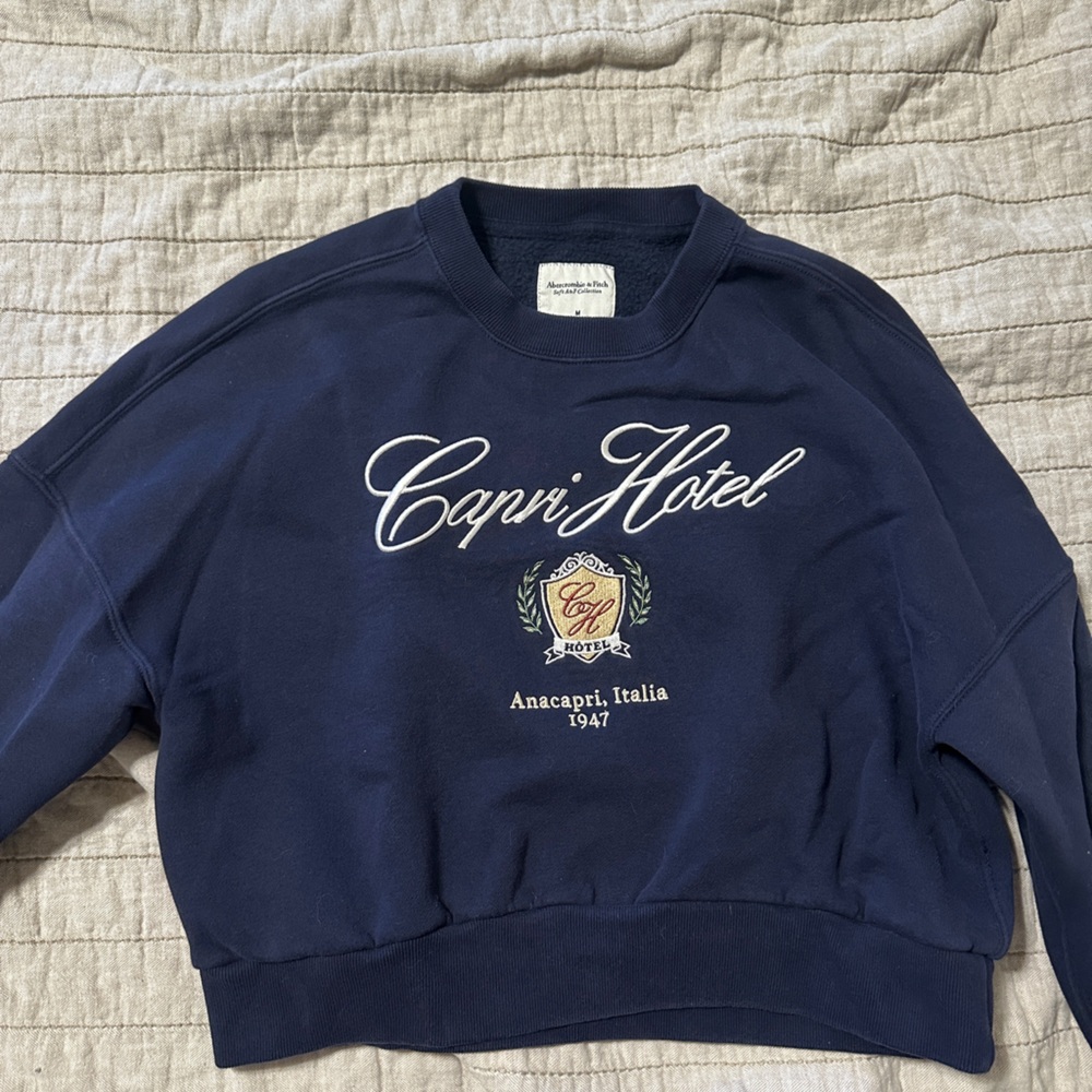 Abercrombie & Fitch Navy Cropped Crewneck Sweater